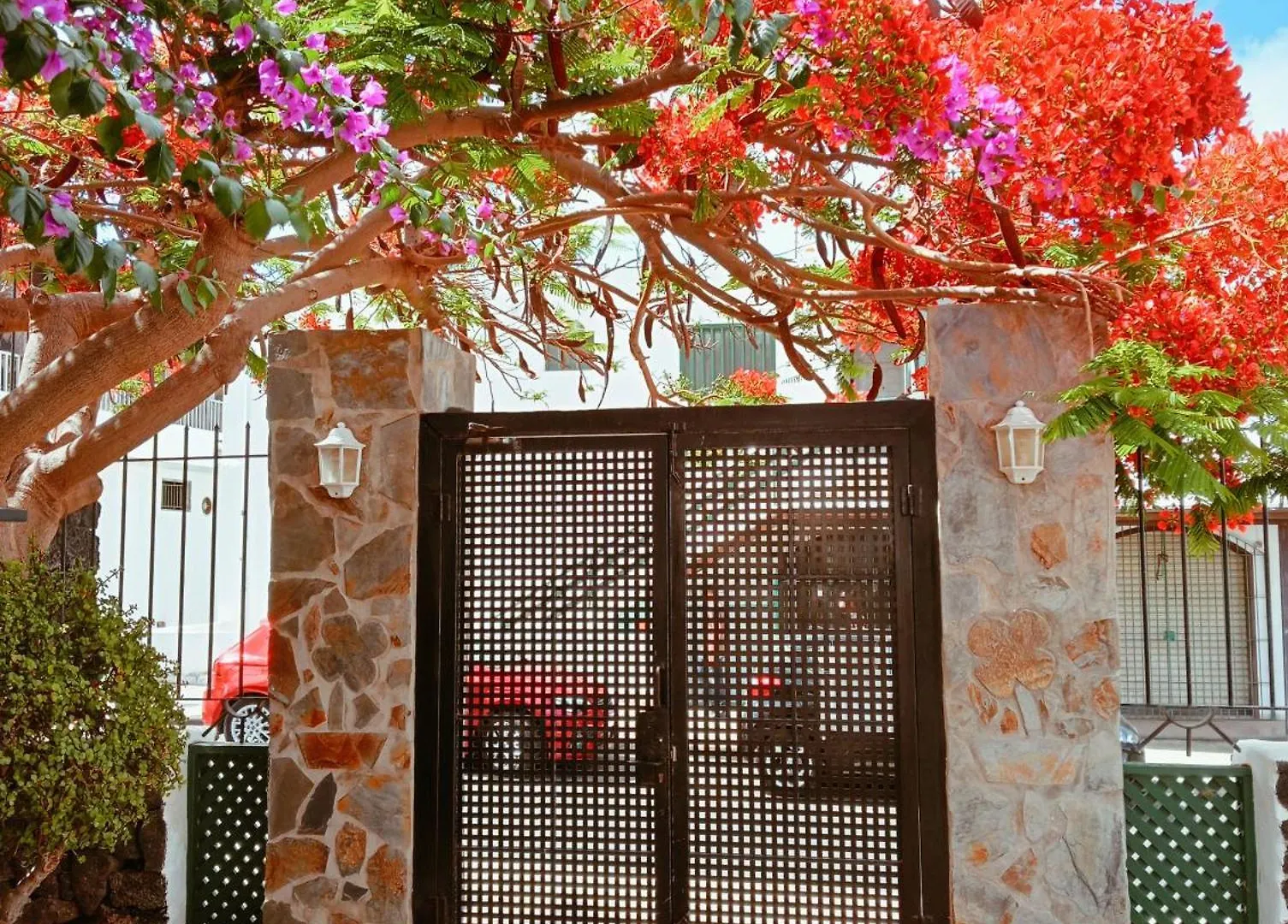 Apartment Apartamentos Las Acacias Puerto del Carmen  Spanien